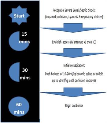 Poor Compliance with Sepsis Guidelines in a Tertiary Care Children’s Hospital Emergency Room